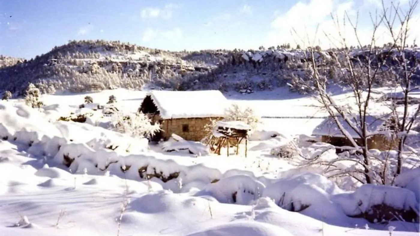 ❄️ Invierno en Creel y Barrancas del Cobre: Paisajes Nevados Únicos